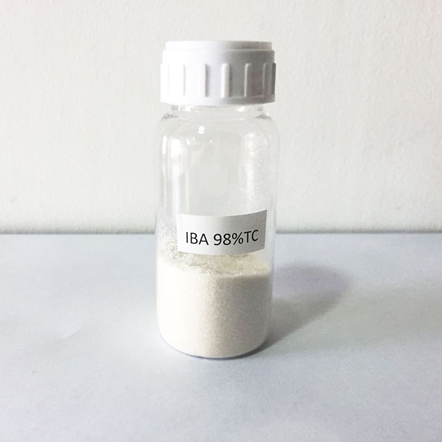 3-Indoleacetic Acid(IBA)