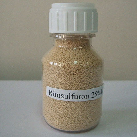 Rimsulfuron; CAS NO 122931-48-0; EC NO 602-908-8; post-emergent herbicide for annual grass and annual broad-leaved weed