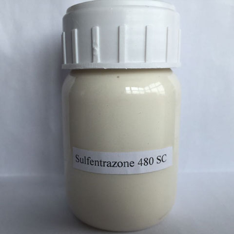 Sulfentrazone; CAS NO 122836-35-5; EC NO 602-896-4; a select broadleaf weed and nutsedge killer;broadleaf grass and sedge weeds