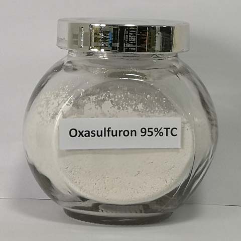 Oxasulfuron; CAS NO 144651-06-9; sulfonylurea herbicide for the post-emergence broad-leaf weeds and grasses