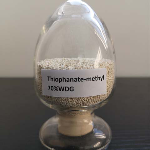 Thiophanate-methyl; Thiophanate methyl; CAS NO 23564-05-8; systemic fungicide against diseases in fruit, vegetables and other crop