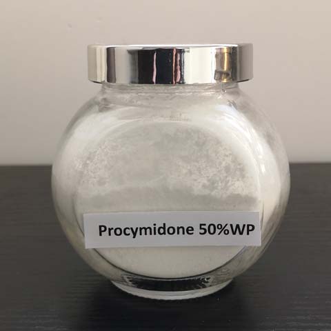 Procymidone; CAS NO 32809-16-8; seed dressing, pre-harvest spray or post-harvest dip fungicide for fungal diseases