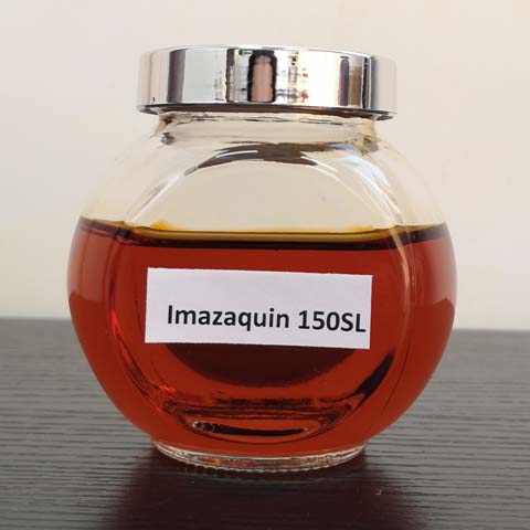 Imazaquin; CAS NO 81335-47-9; Imazaquin ammonium; systemic herbicide for weed species