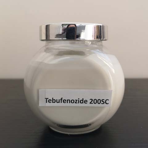 Tebufenozide; CAS NO 112410-23-8; 142583-69-5；EC NO ; 412-850-3；stomach toxic effect