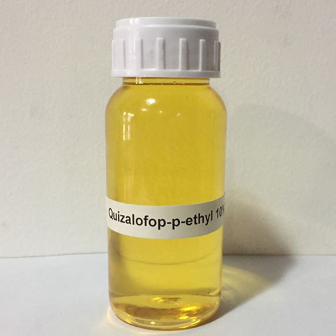 Quizalofop-p-ethyl; CAS NO 100646-51-3; EC NO 600-119-3; selective herbicide for annual and perennial grass weeds