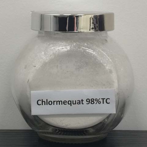 Chlormequat; CAS NO 7003-89-6; plant growth retardant used as the chloride derivative on cereals to increase resistance to lodging
