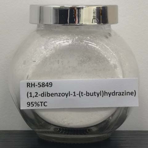 1,2-dibenzoyl-1-(t-butyl)hydrazine