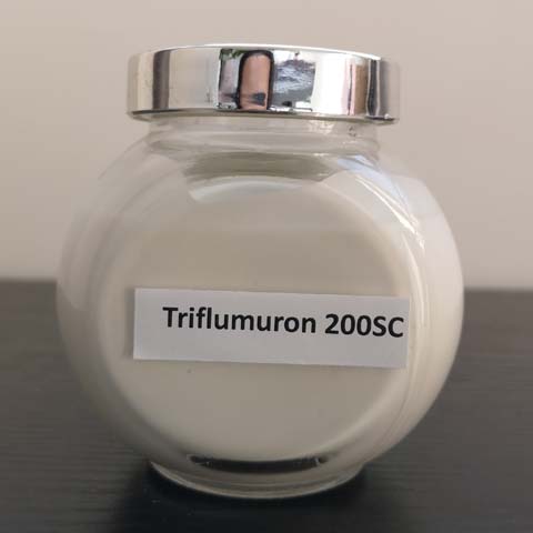 Triflumuron; CAS NO 64628-44-0; Trifluron; EC NO 264-980-3; chitin biosynthesis inhibitors
