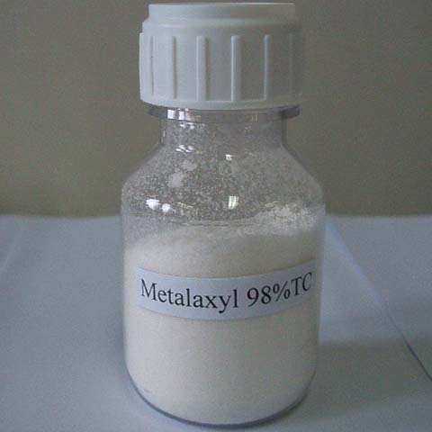 Metalaxyl-M; Mefenoxam; CAS NO 70630-17-0 ; fungicide for diseases caused by air- and soil-borne pathogens