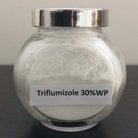 Triflumizole; CAS NO 99387-89-0; 68694-11-1; fungicide for fungal diseases on top fruit, grapes and other crops