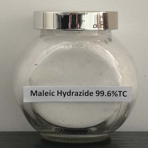 Maleic Hydrazide; CAS NO 123-33-1; plant growth regulator used to suppress growth and to induce dormancy in some crops