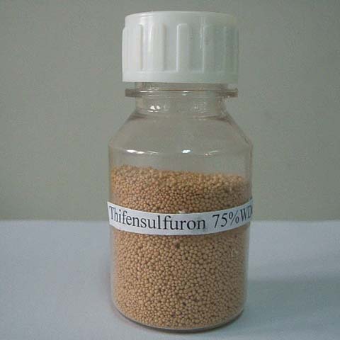 Thifensulfuron-methyl
