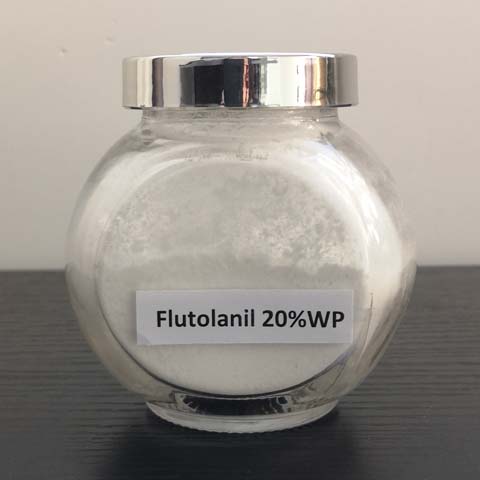 Flutolanil; CAS NO 66332-96-5; fungicide for pathogens especially Rhizoctonia spp on rice and other crops