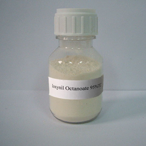 Ioxynil octanoate; CAS NO 3861-47-0; EC NO 223-375-4 Selective herbicide for broad-leaved weeds