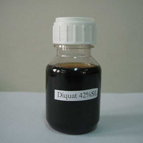 Diquat; Diquat dication; Diquat ion; CAS NO 2764-72-9; EC NO 220-433-0; a non-selective contact algicide; defoliant; herbicide