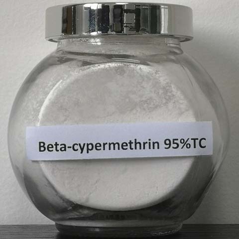 Beta-cypermethrin; d-trans-beta-Cypermethrin；66841-24-5；pyrethroid broad-spectrum insecticide