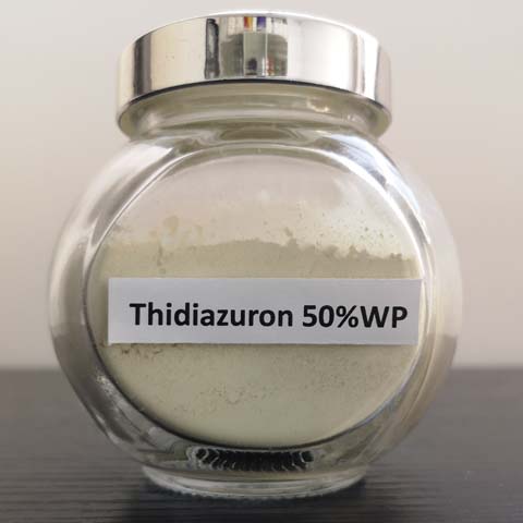 Thidiazuron; CAS NO 51707-55-2; herbicide and defoliant plant growth regulator which stimulates ethylene production in crops cotton