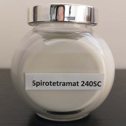 Spirotetramat; CAS NO 203313-25-1; EC NO 606-523-6; long acting insecticide