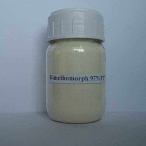 Dimethomorph; CAS NO 110488-70-5; A fungicide effective against various fungal pathogens in vines and other crops