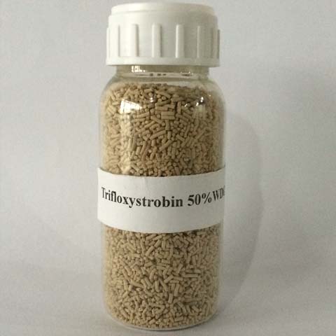Trifloxystrobin; Trifloxystrobine; CAS NO 141517-21-7; Strobilurin foliar applied fungicide for certain foliar, stem and root diseases