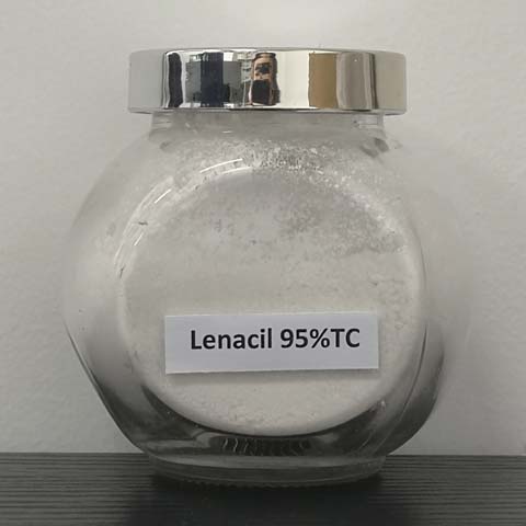  Lenacil; CAS NO 2164-08-1; selective uracil substituted herbicide for annual grasses, broad leafed weeds and some perennial weeds 