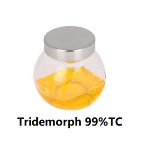Tridemorph; CAS NO 24602-86-6; fungicide for the fungus Erysiphe graminis in cereals and other diseases