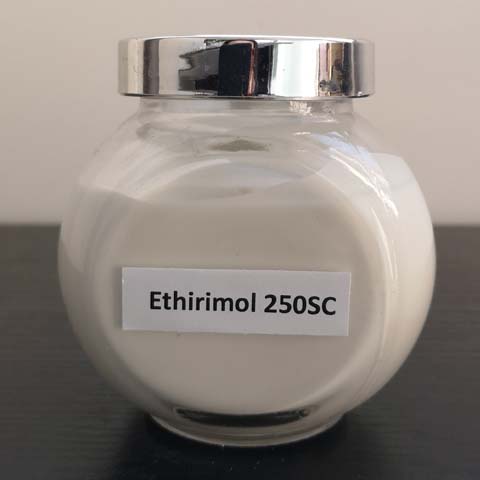 Ethirimol; Ethirimal; Ethrimiol; CAS NO 23947-60-6; A pyrimidine fungicide often used as a seed treatment for diseaases