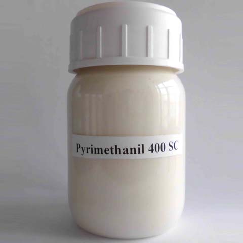 Pyrimethanil; CAS NO 53112-28-0; fungicide for fungal pathogens on fruit, vegetables and ornamentals