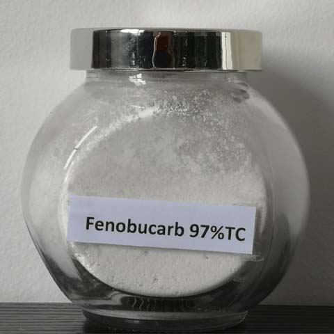 Fenobucarb; CAS NO 3766-81-2; EC NO 223-188-8; Fenobcarb; carbamate insecticide