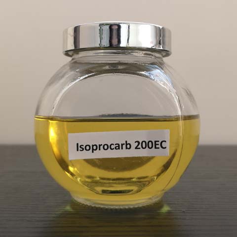 Isoprocarb; Etrofolan; CAS NO 2631-40-5; EC NO 220-114-6；selective alternative benzene carbamate insecticides