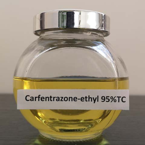 Carfentrazone-ethyl; CAS NO 128639-02-1; post-emergence herbicide for broad leaf weeds