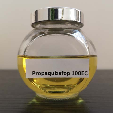 Propaquizafop; CAS NO 111479-05-1; selective post-emergence herbicide for annual grass weeds and perennial weeds