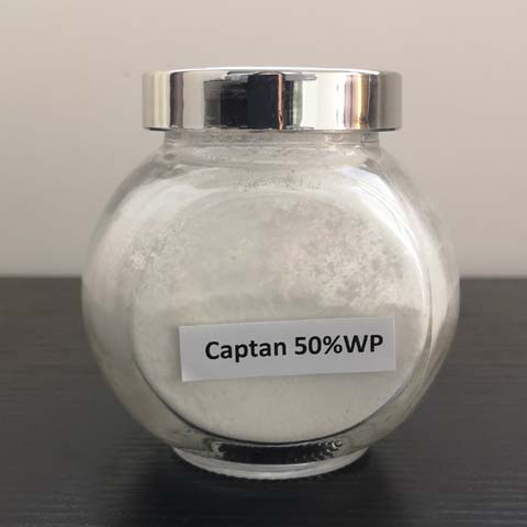 Captan; CAS NO 133-06-2; A dicarboximide fungicide widely used on fruit and other crops