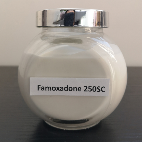 Famoxadone; CAS NO 131807-57-3; fungicide for plant pathogenic fungi including downy mildew and blights