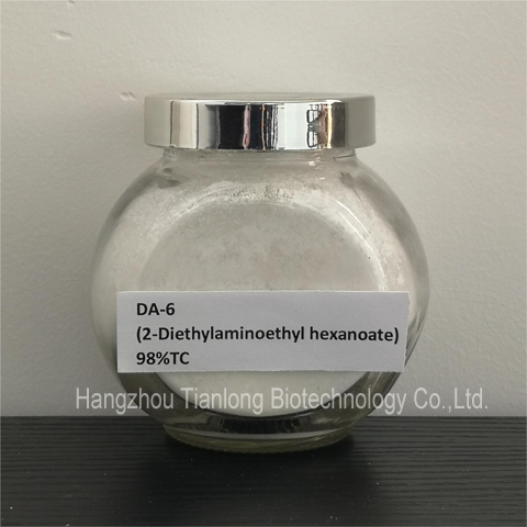 DA-6(2-Diethylaminoethyl hexanoate)